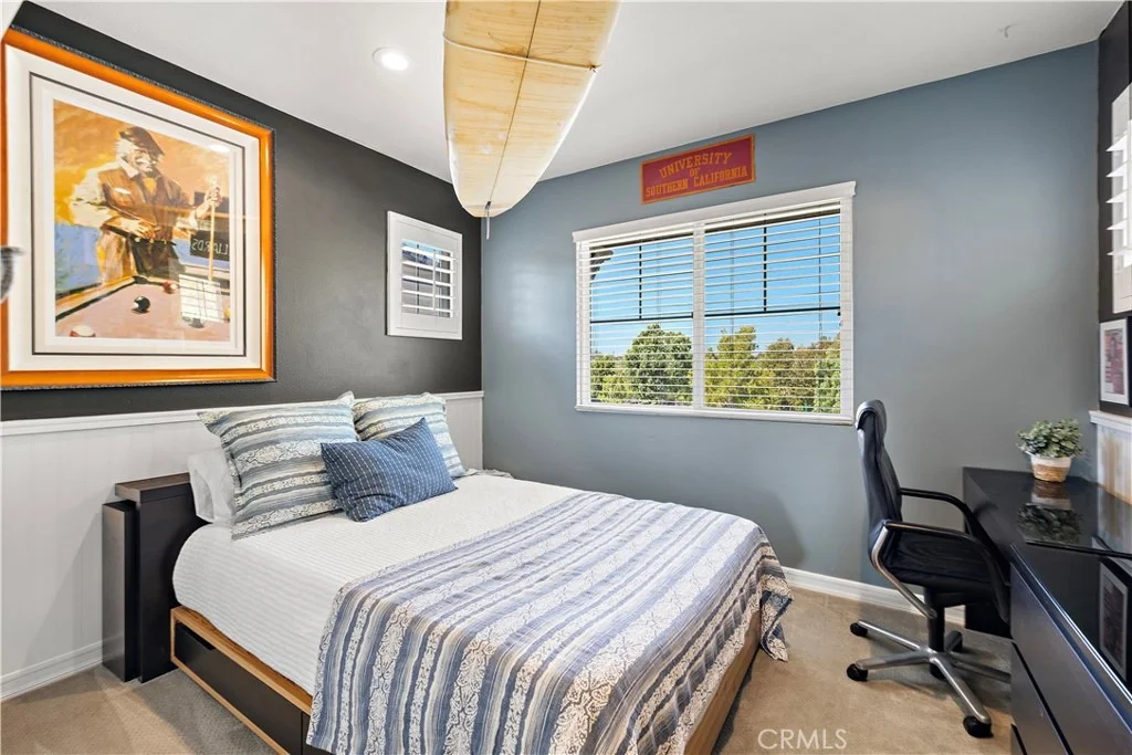 Photo of 18 Blue Spruce
