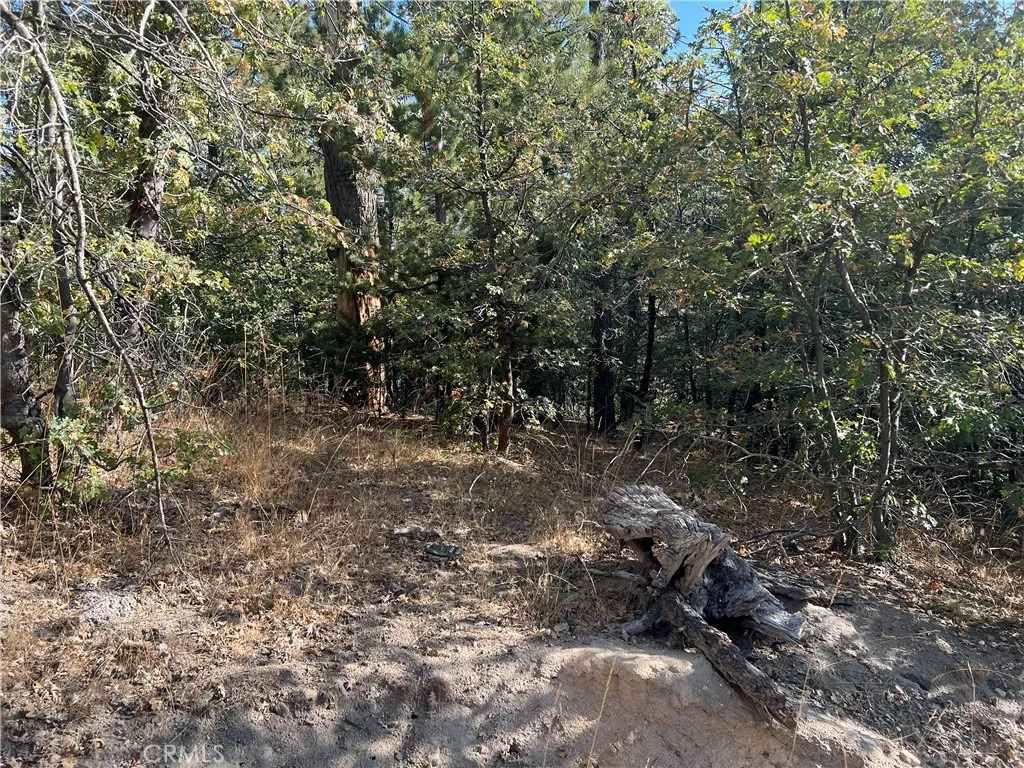 Photo of 0 Lone Pine Dr.