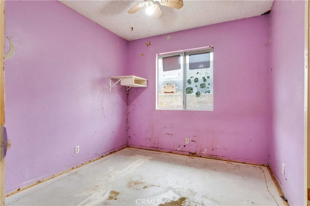 Photo of 1113 Olivine