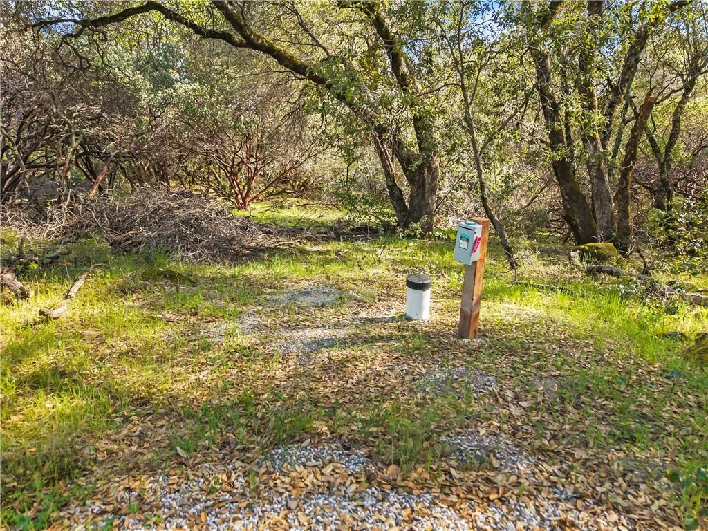 Photo of 1371 Moccasin Trail