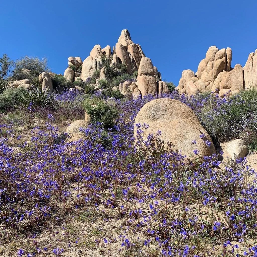 Photo of 5850 Cactus Canyon Trail
