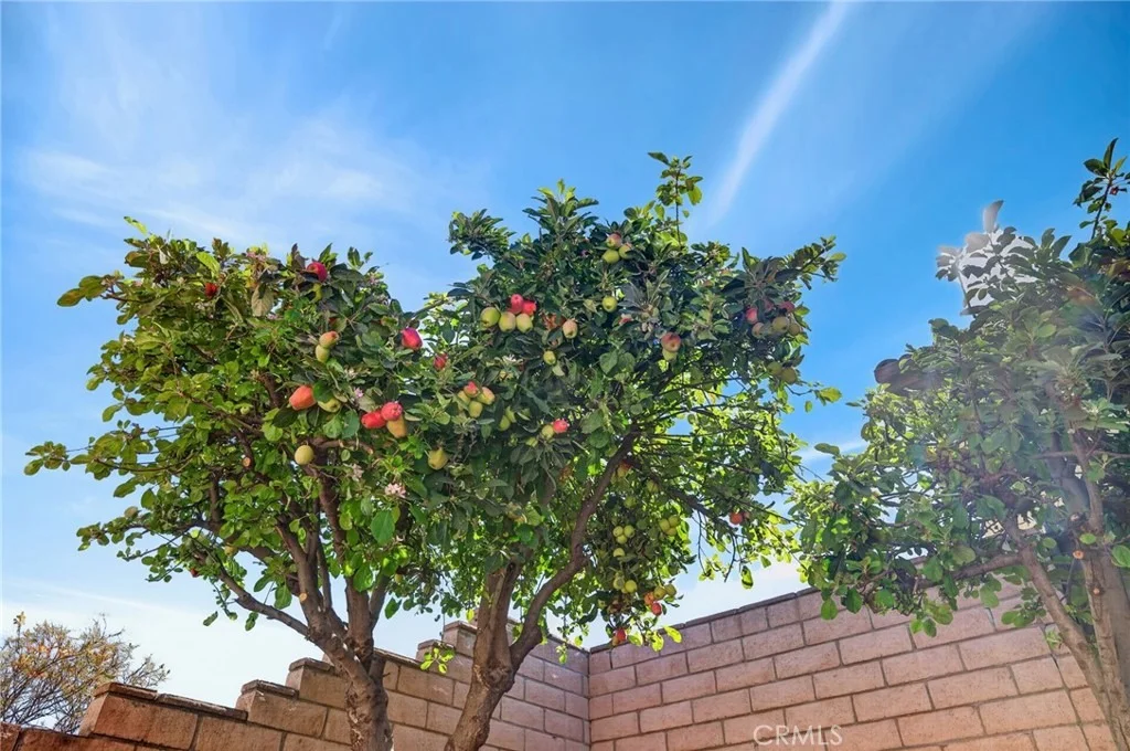 Photo of 27699 Sagebrush Rd