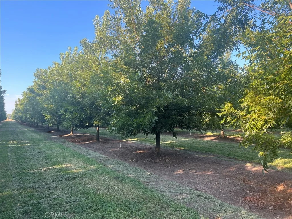 Photo of 14450 Meridian Road