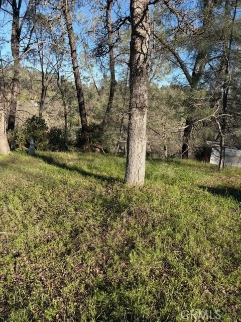 Photo of 7098 Corral