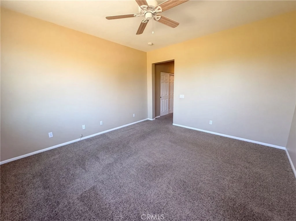 Photo of 3136 Hibiscus