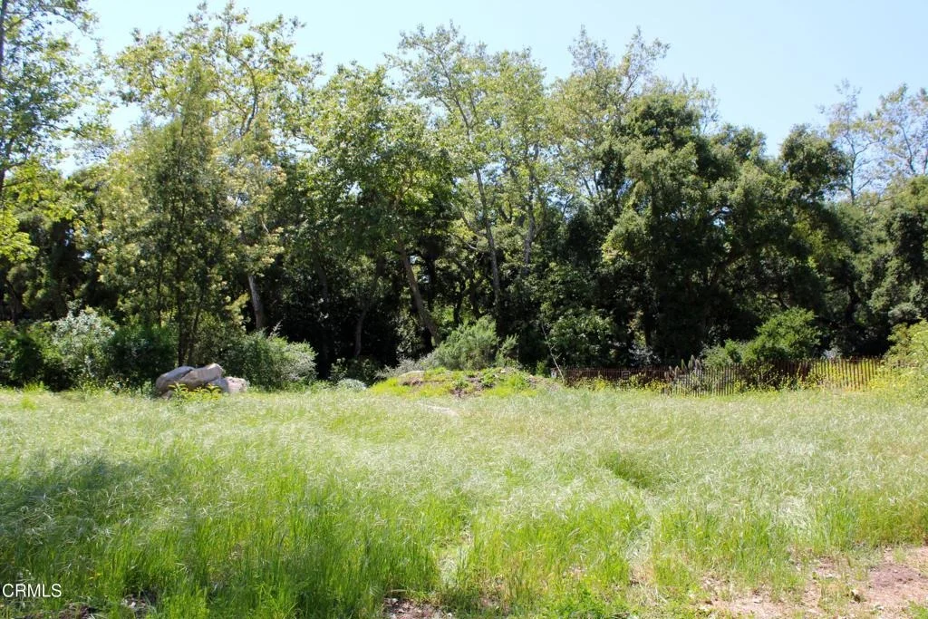 Photo of 809 Ashley Road