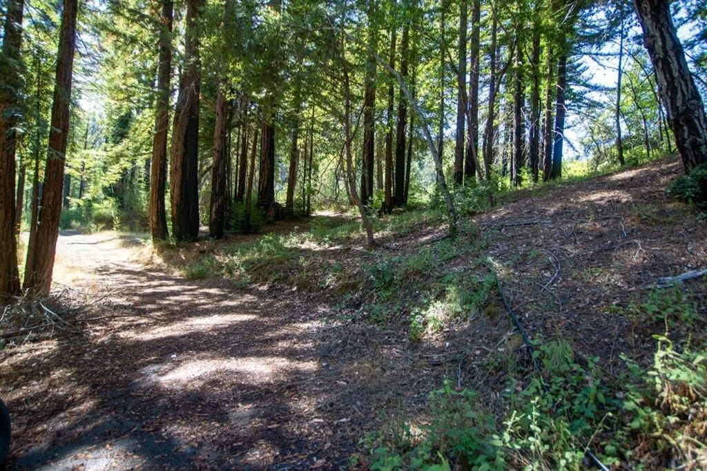 Photo of 19145 Big Basin Way