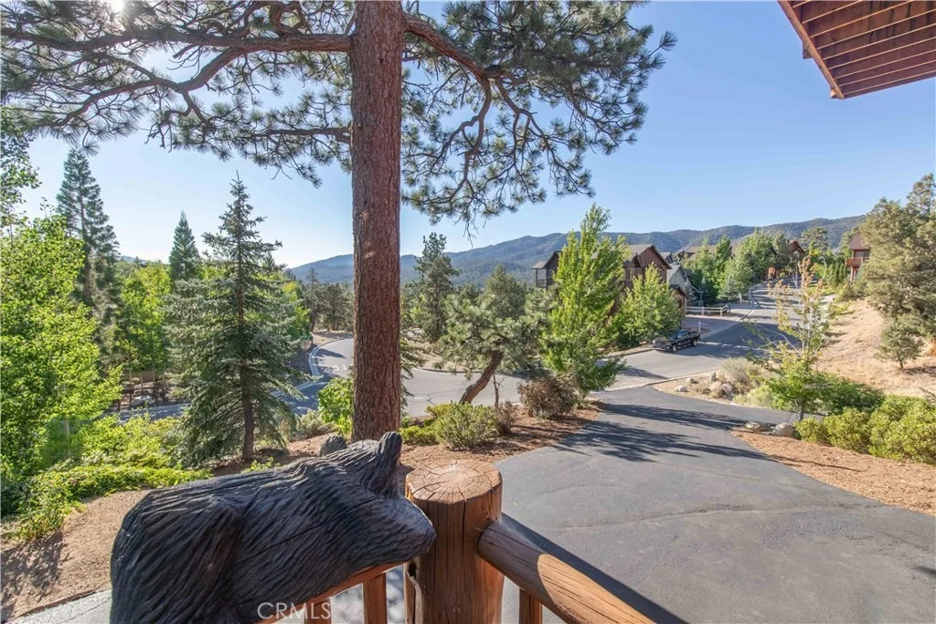 Photo of 301 Starlight