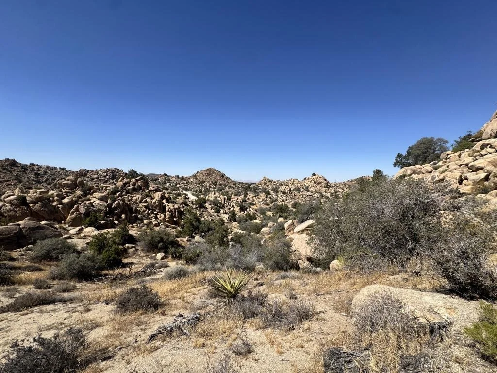 Photo of 5990 Acoma Trail
