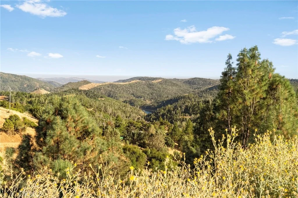 Photo of 10761 Red Eye Road