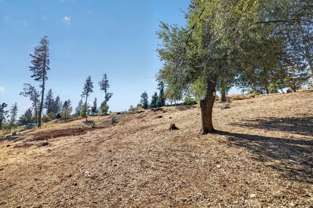 Photo of 1712 Connell Lane