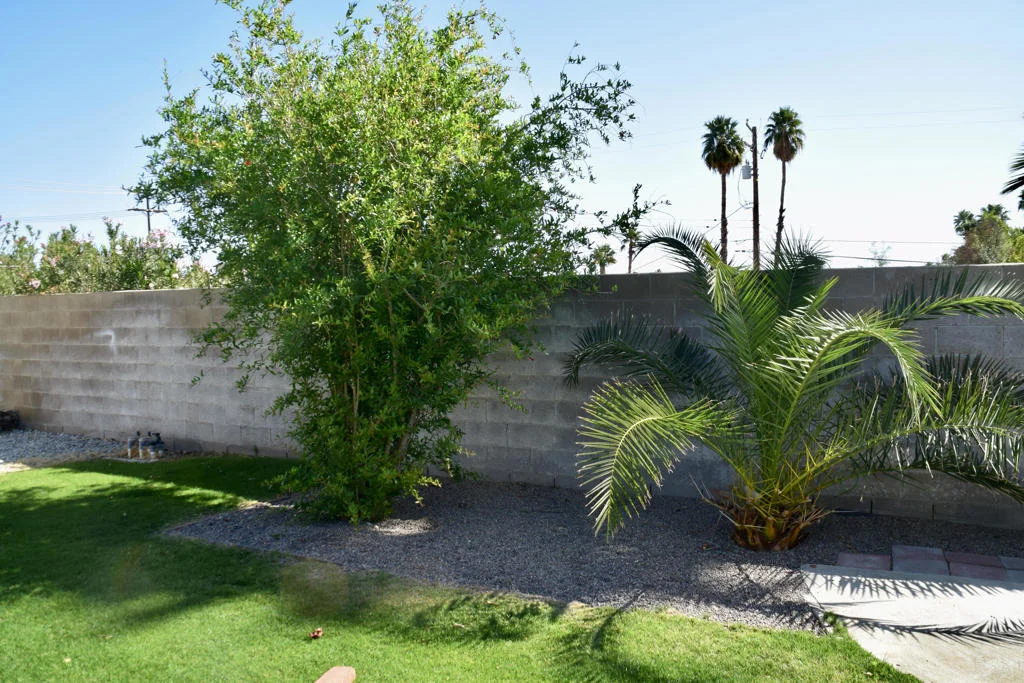 Photo of 68835 Ortega Road