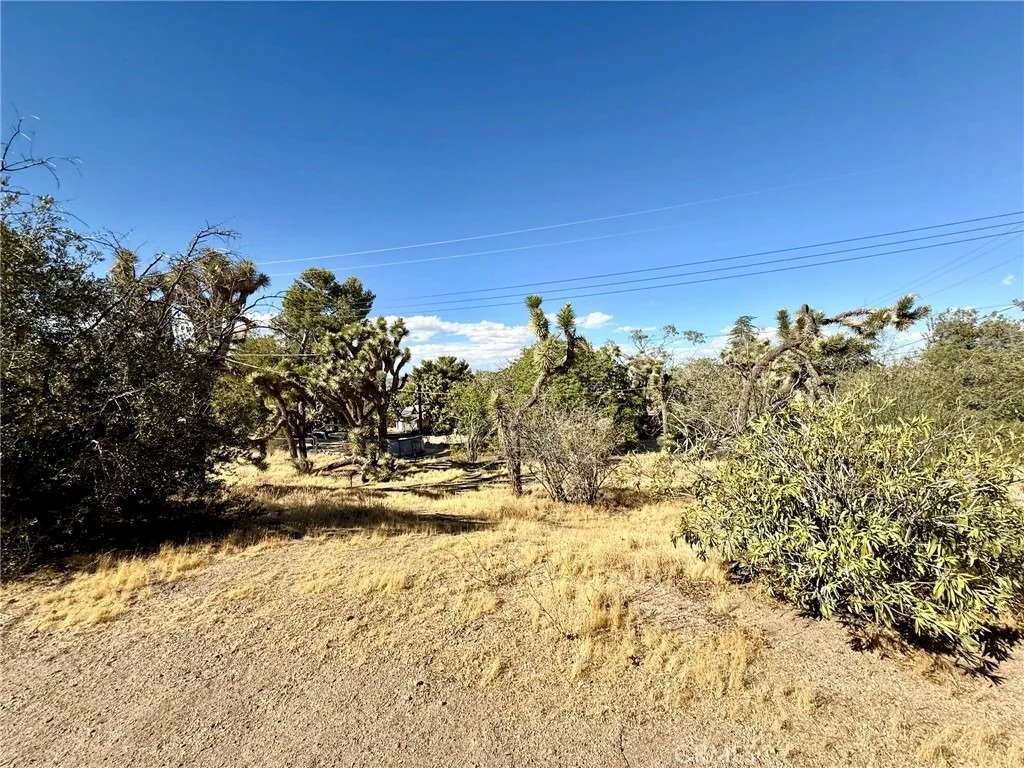 Photo of 56862 La Cadena