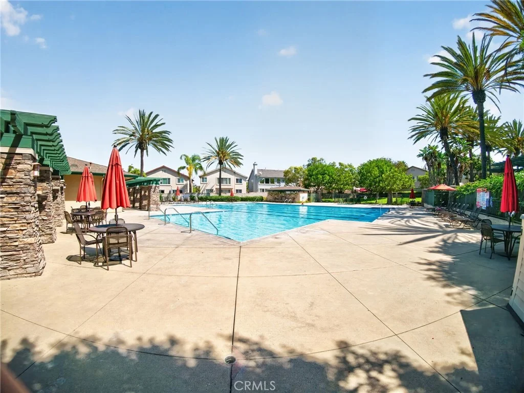 Photo of 1208 Date Palm