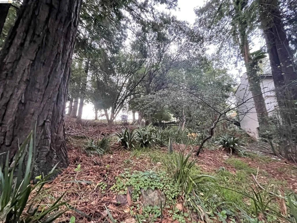 Photo of 962 Regal Rd