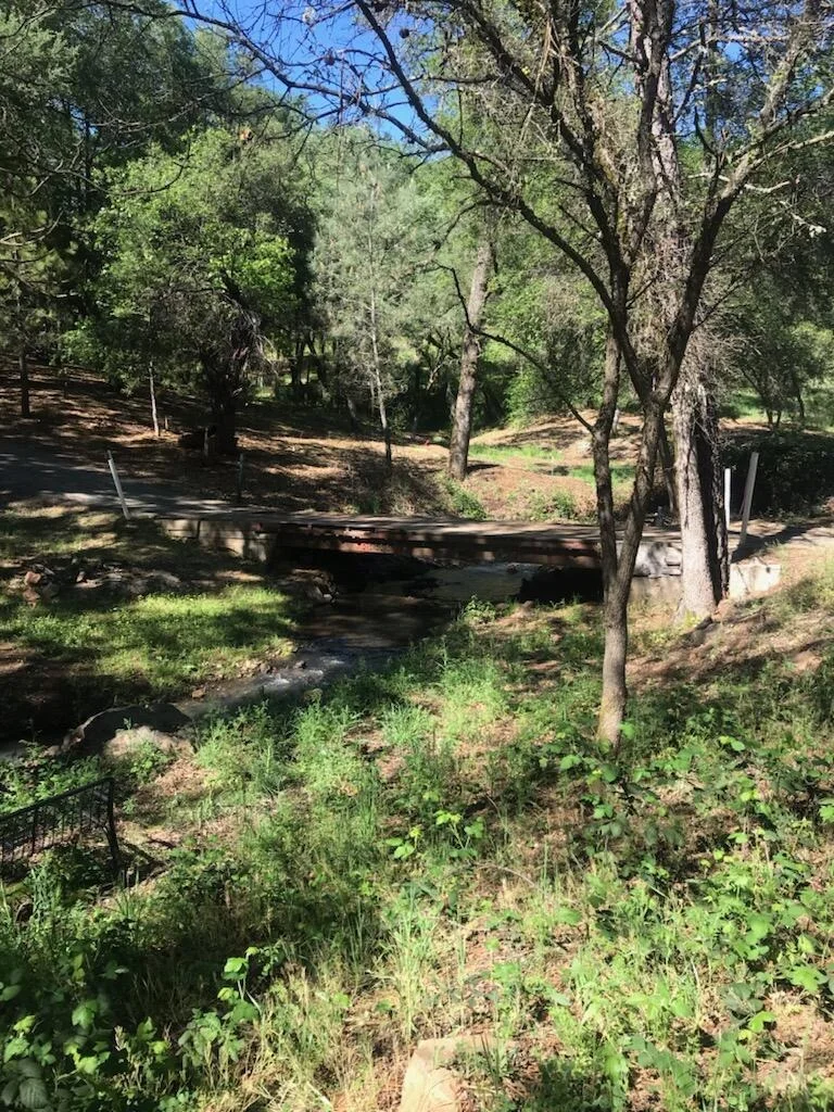 Photo of 10255 Turkey Trot Place