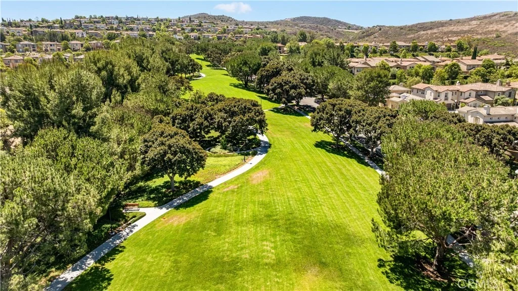 Photo of 97 Canopy