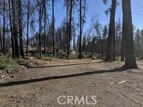 Photo of 824 Pearson Road