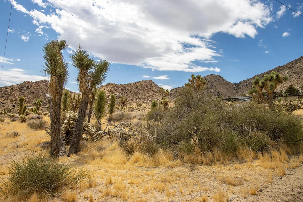 Photo of 8021 Wesley Road