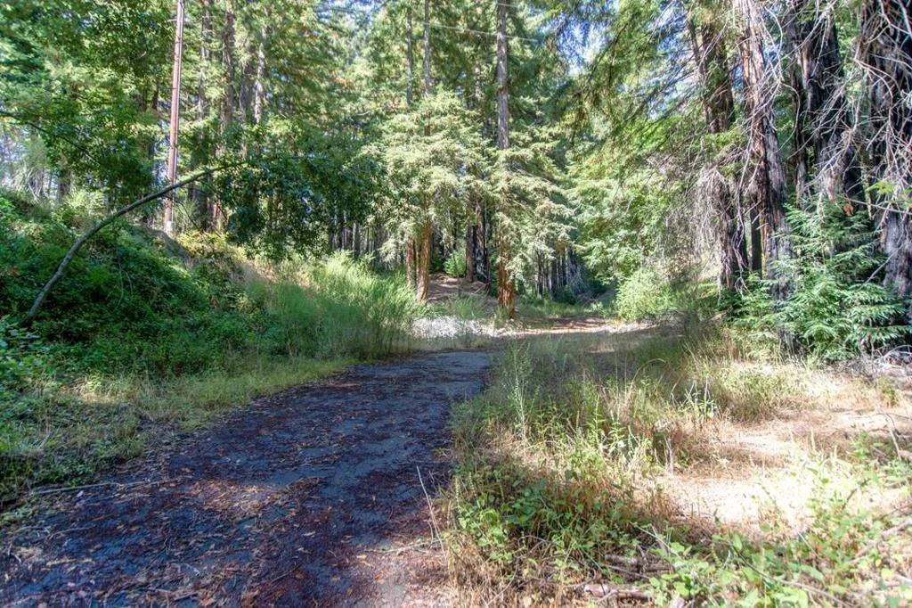 Photo of 19145 Big Basin Way