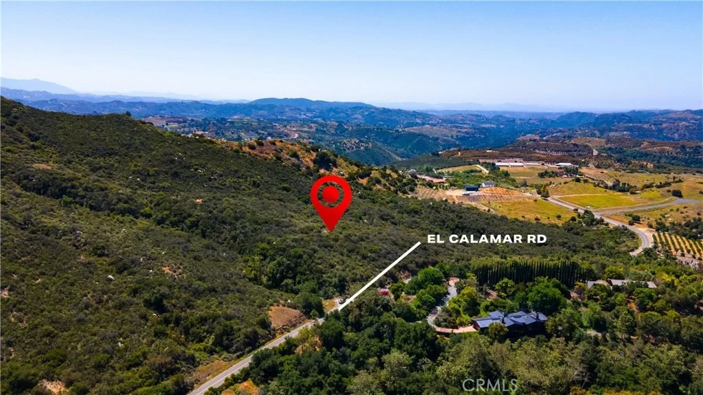 Photo of 0 El Calamar