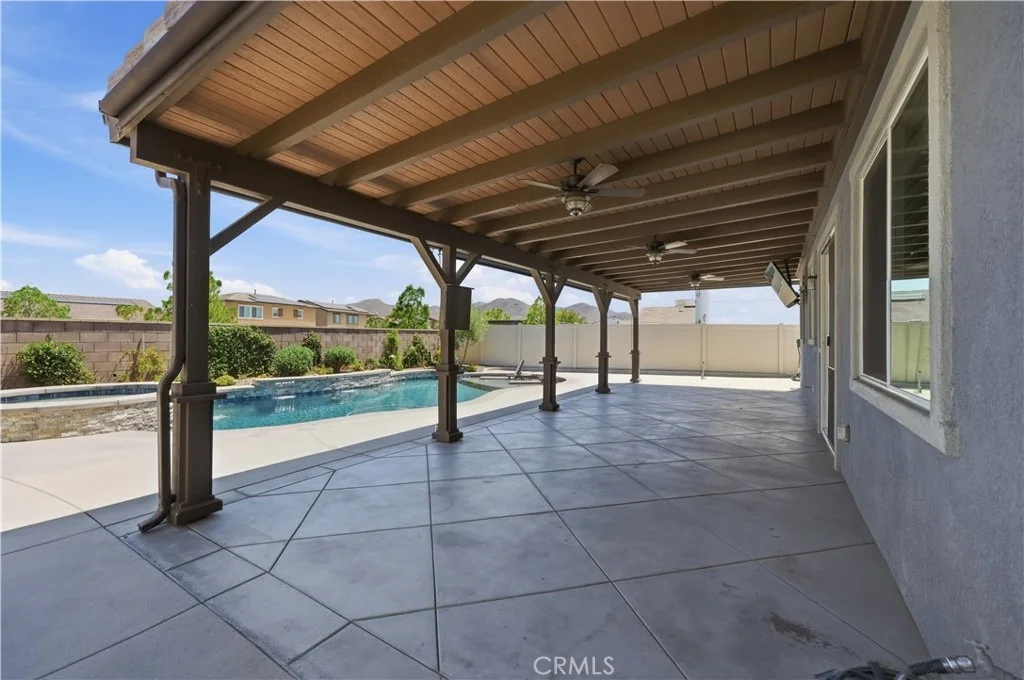 Photo of 29136 Tanoak
