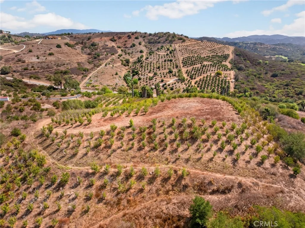 Photo of 16 Terreno