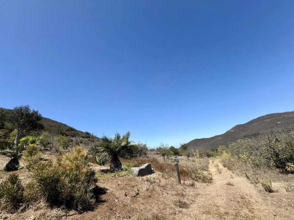 Photo of 9927 Modrigan Lane