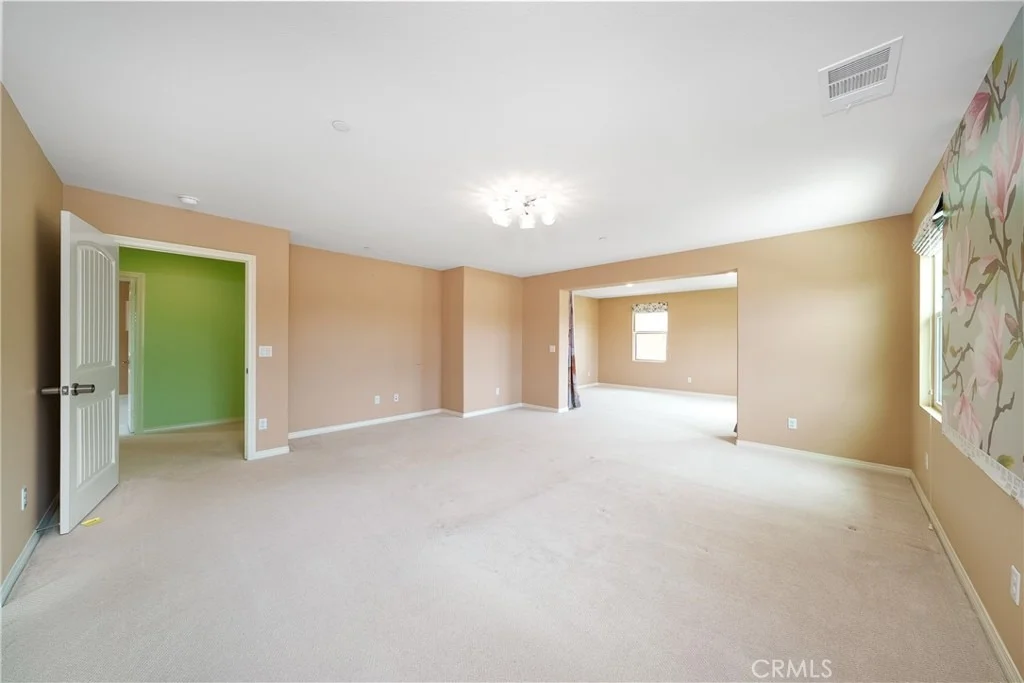 Photo of 5676 Avocet