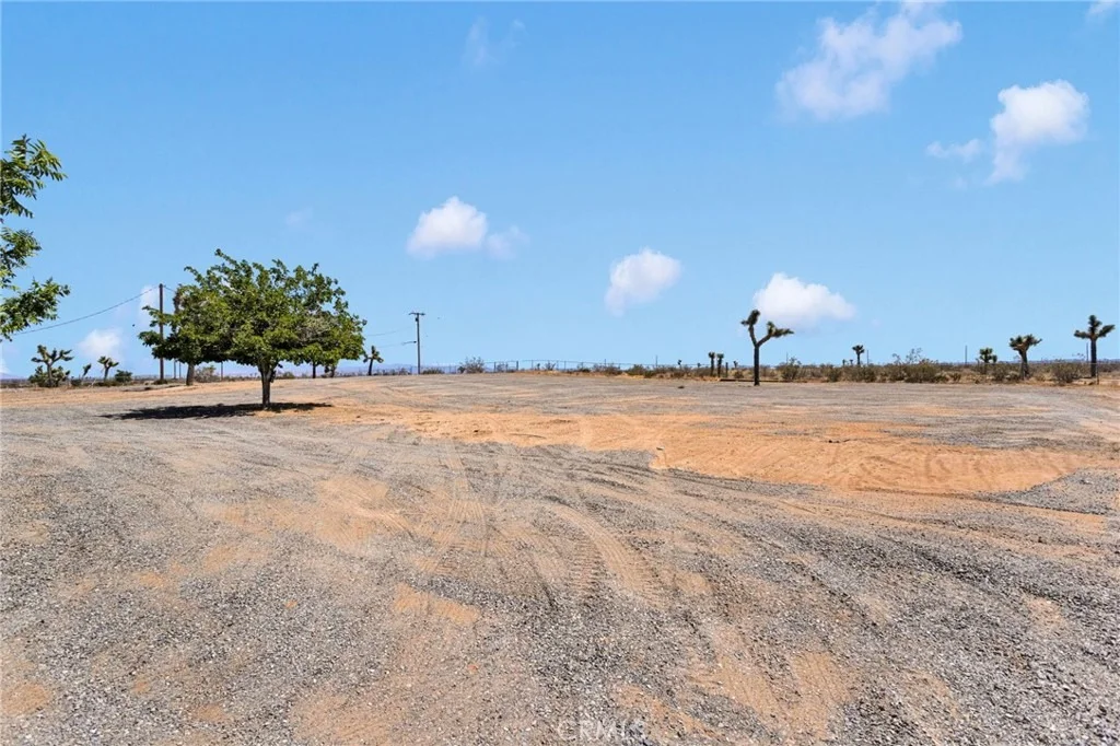 Photo of 8038 Begonia Road