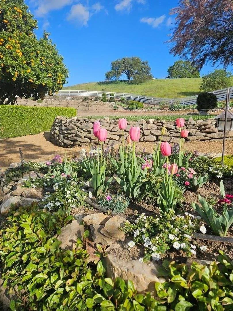 Photo of 54800 Lonoak Road