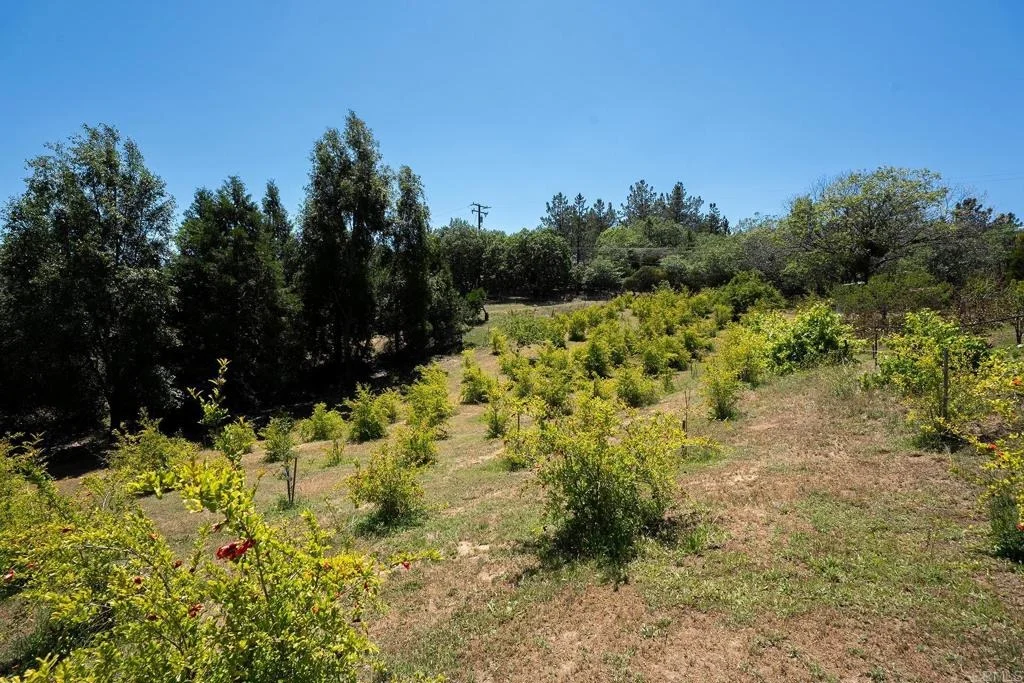 Photo of 1315 FARMER RD