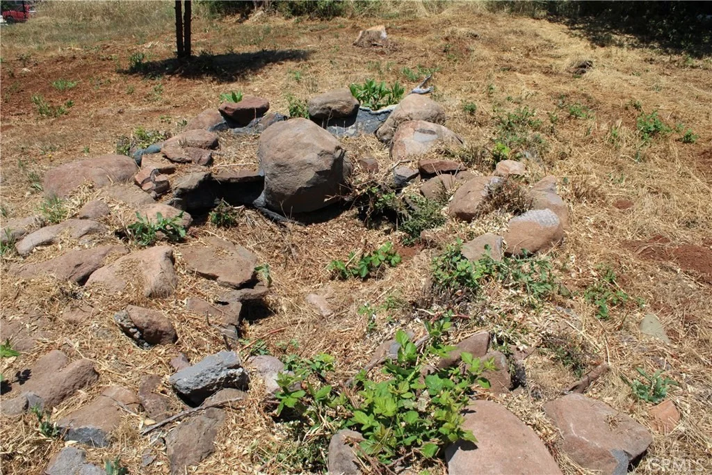 Photo of 1645 Puddle Duck Court