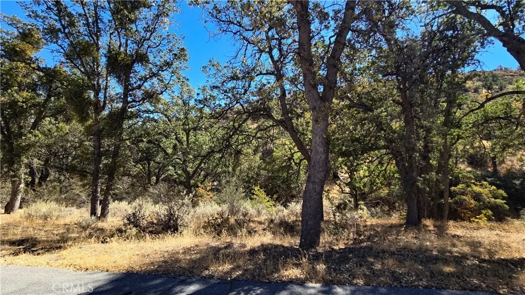 Photo of 0 Saint Moritz Drive