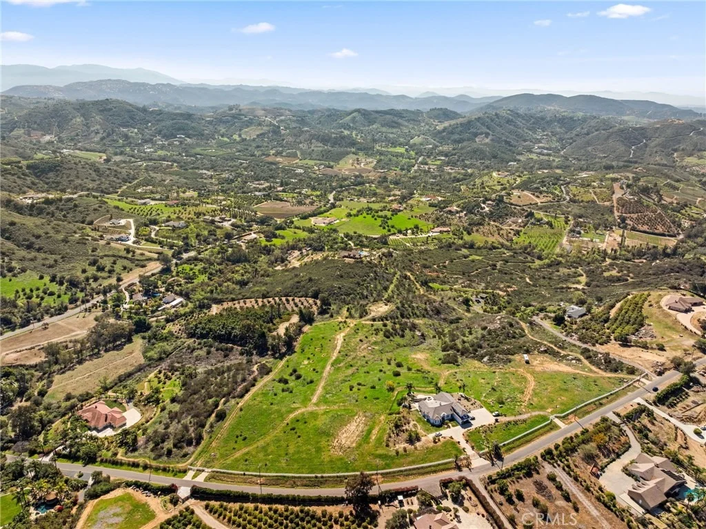 Photo of 2 Las Palmeras