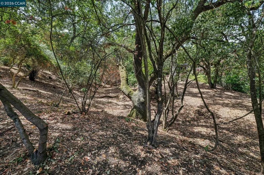 Photo of Ridge Road