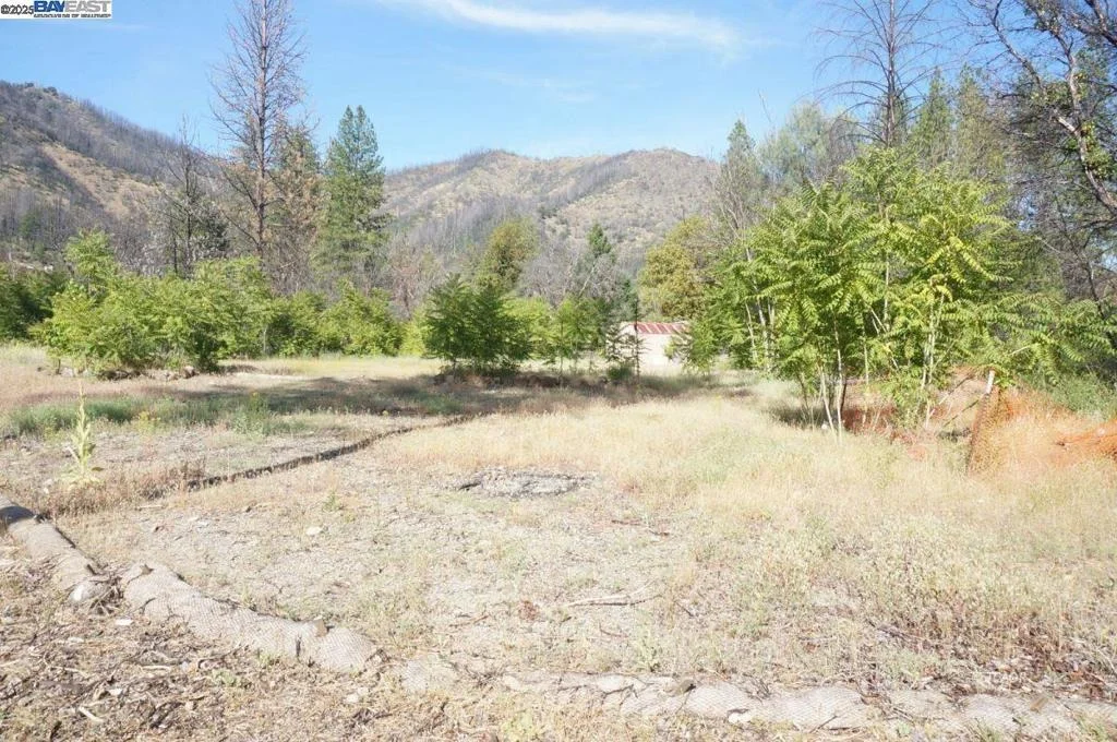 Photo of 101 River Acres