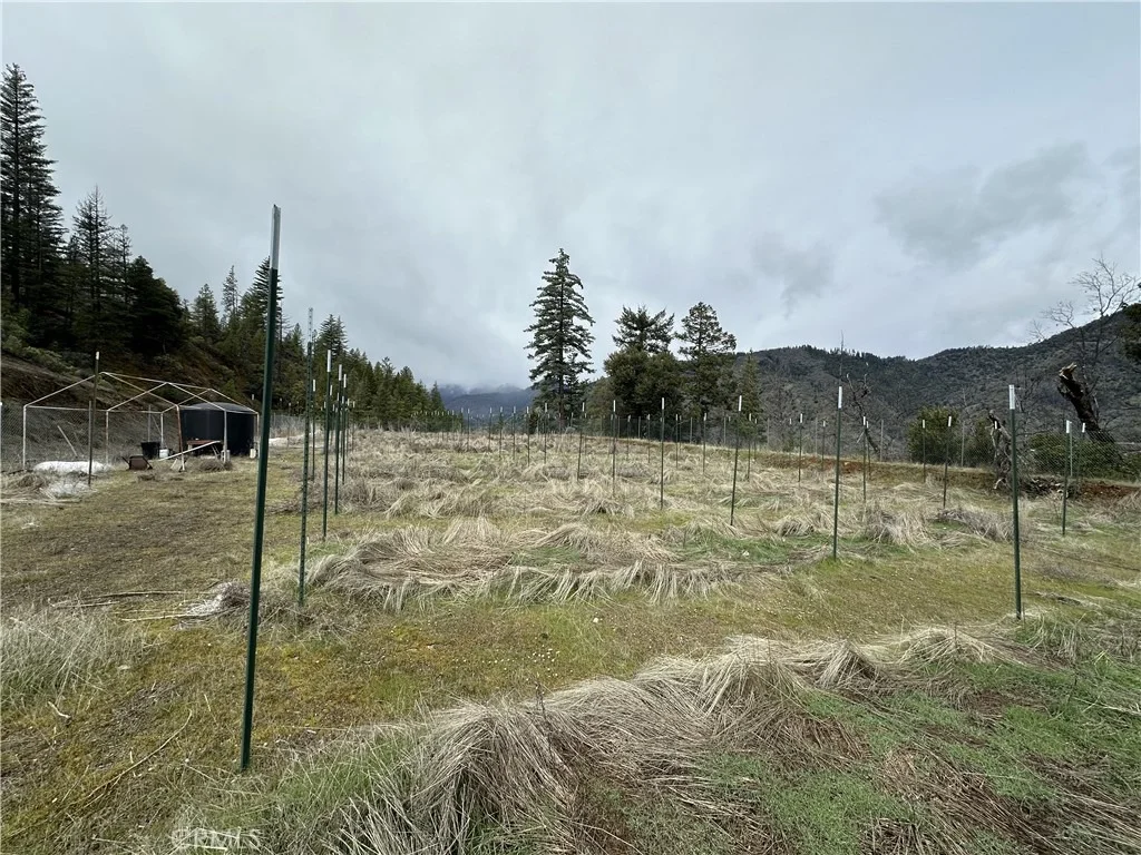 Photo of 240 Rasmusen Lane
