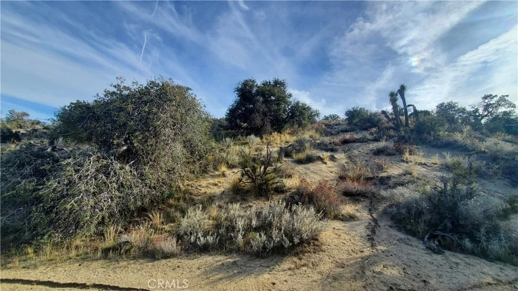 Photo of 0 Vicinity Ross Road E