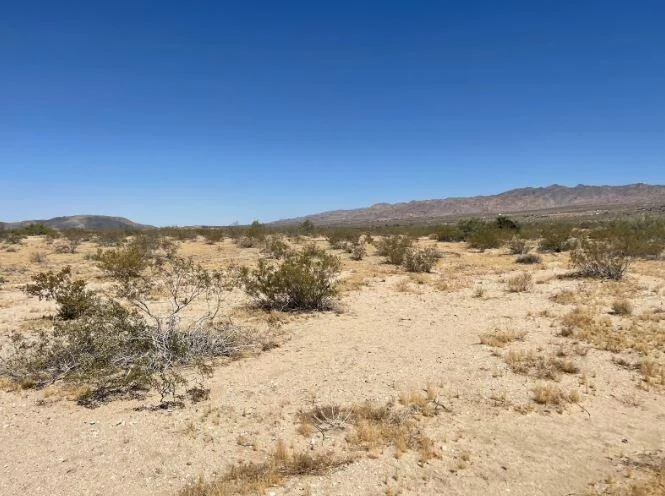 Photo of 117 Border Road