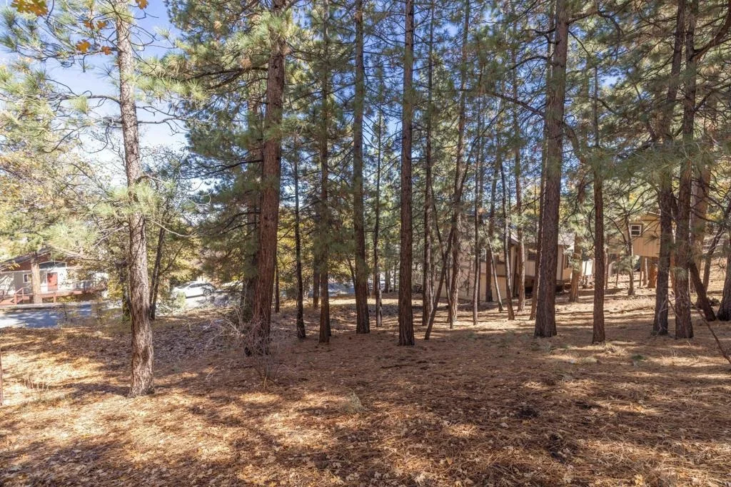 Photo of 1409 Klamath Road