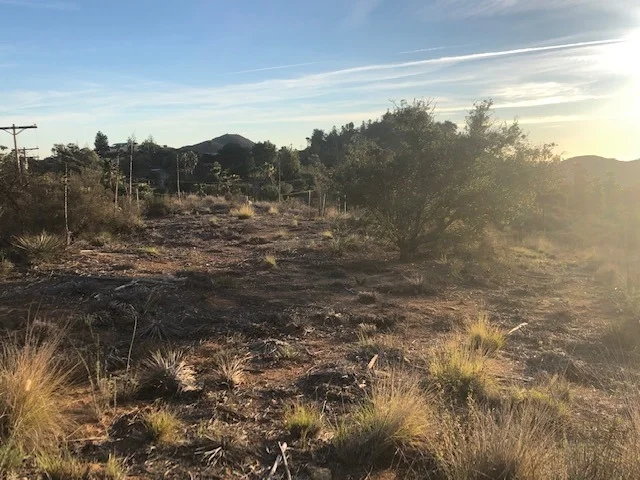 Photo of 0 Rainbow Crest