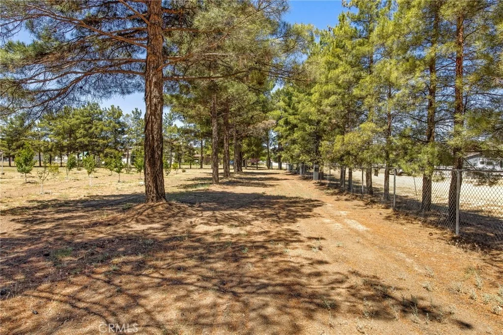 Photo of 49585 Flightline Way