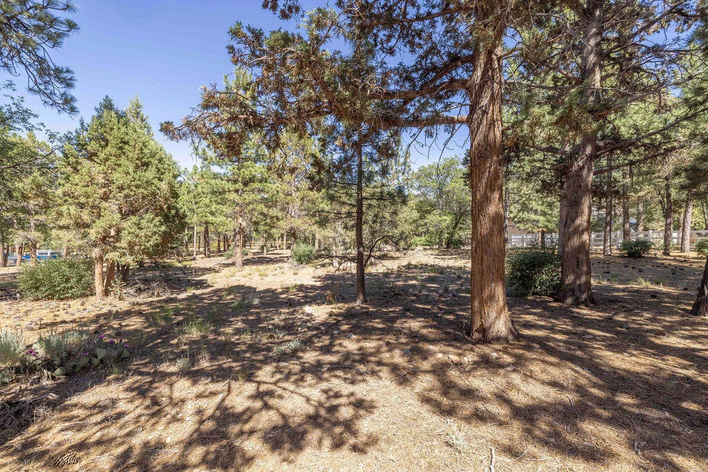 Photo of 655 Cedar Glen Drive