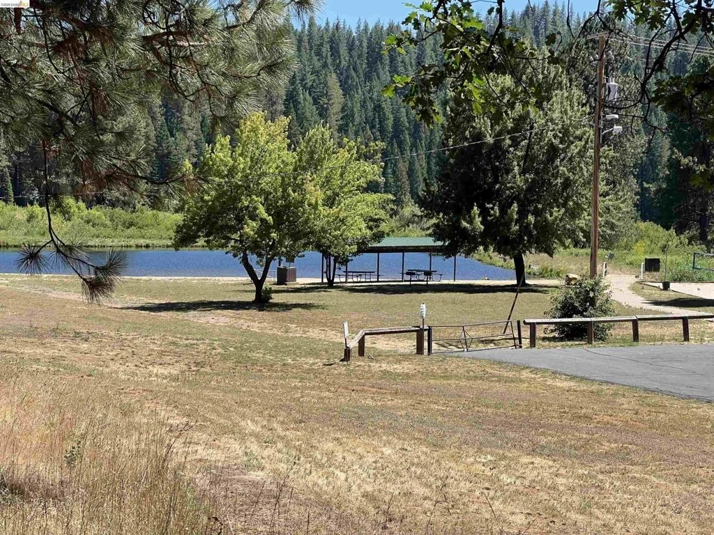Photo of 22284 Solomon