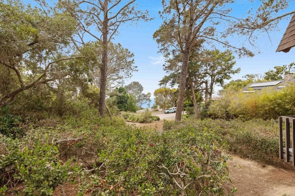Photo of 343 Serpentine Drive