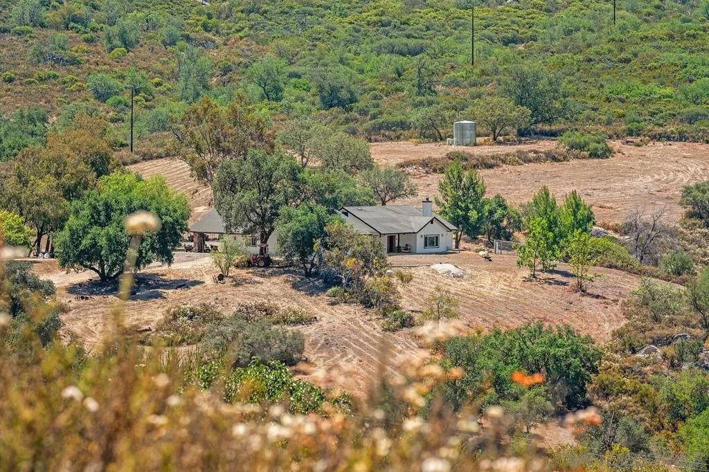 Photo of 23895 Ladrido