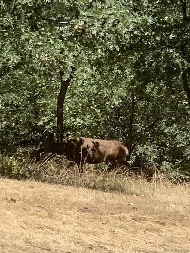 Photo of 4129 Eagle Peak