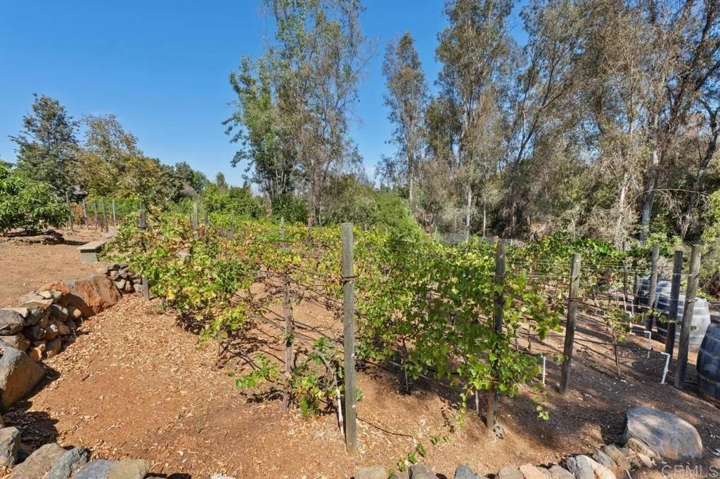 Photo of 5241 Alzeda Drive