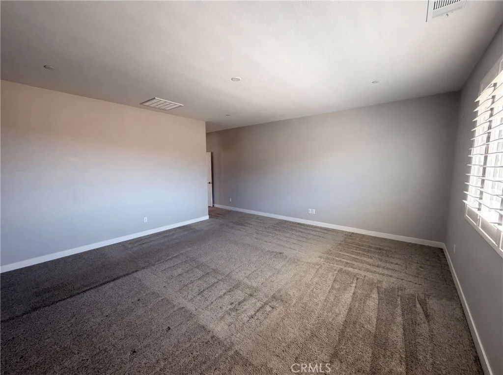 Photo of 26315 Silver Birch
